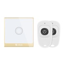 SMILE THOUCH 1 RF WiFi Single touch light switch with remote control