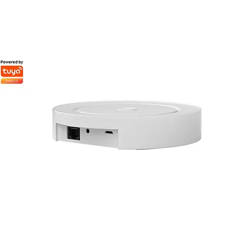 SMILE ZBBL200 Zigbee /Bluetooth  WiFi хъб, до 200 свързани ZigBee устройства и 100 BLE
