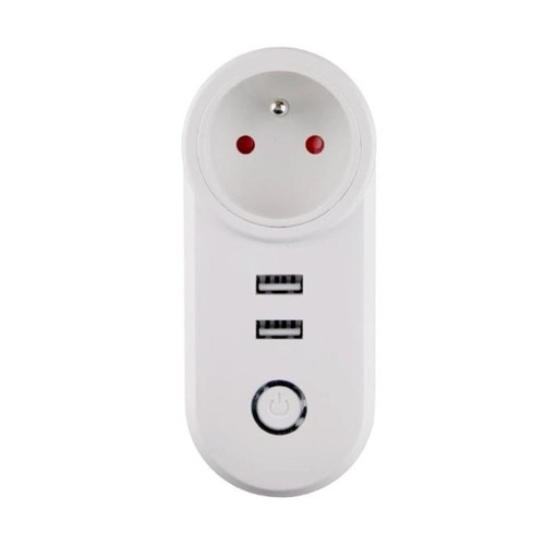 [460000101] ZegBee Smart plug with 2 USB ports, EU